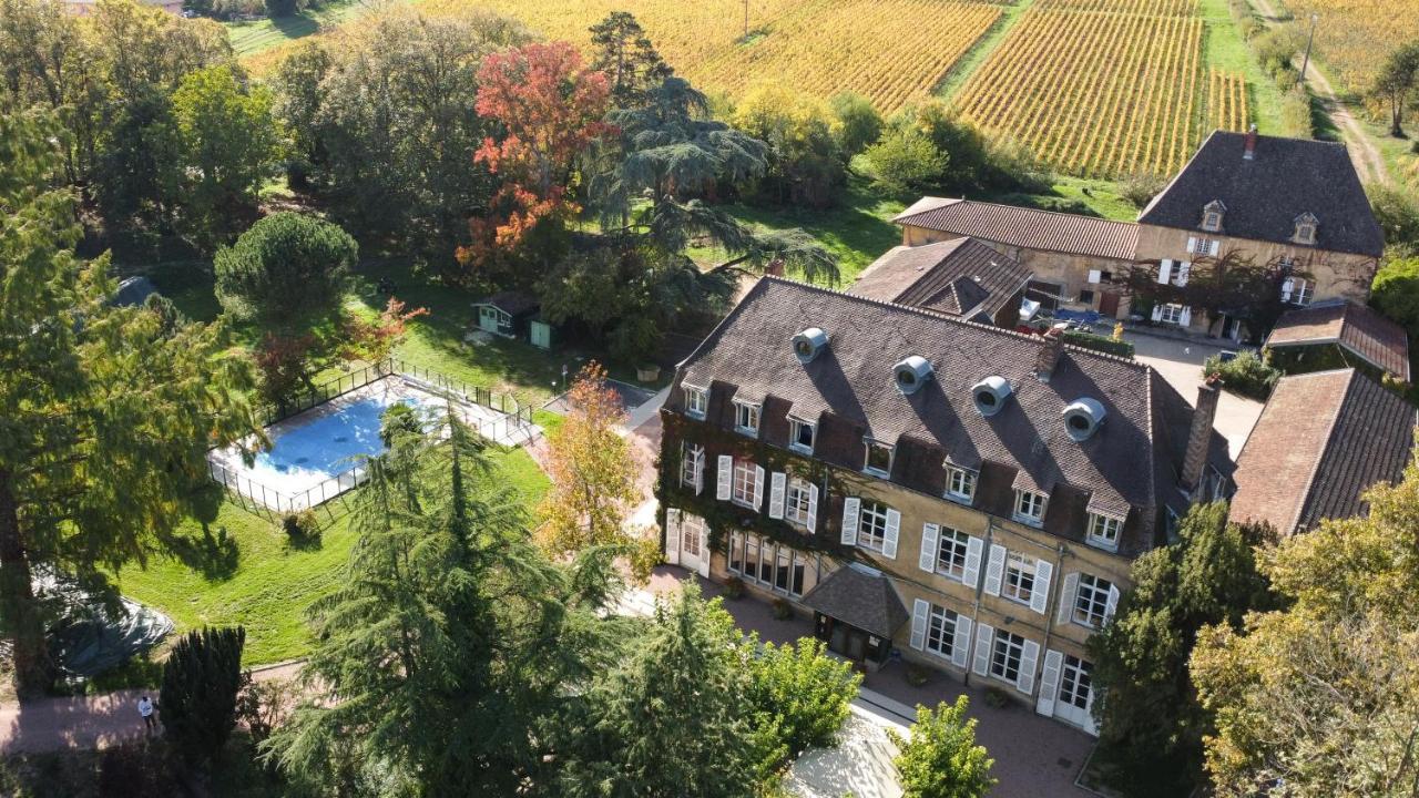 Logis Hotels Chateau De La Barge Chaintre Экстерьер фото